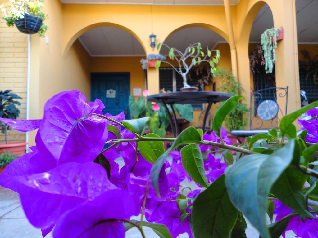 La Posada De Juan B&B Santa Rosa de Copán Buitenkant foto