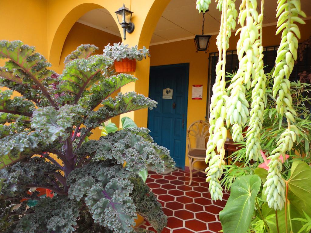 La Posada De Juan B&B Santa Rosa de Copán Buitenkant foto