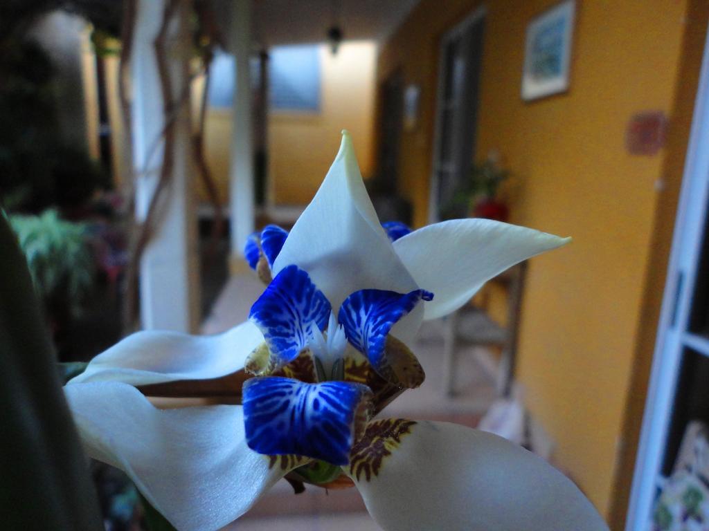 La Posada De Juan B&B Santa Rosa de Copán Buitenkant foto